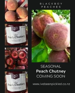 Our Black Boy Peach Chutney is nearly back, and trust us, it’s worth the wait.

Made in small batches using juicy, in-season Black Boy peaches, this chutney brings the perfect balance of sweet and spice. It’s the kind of jar that disappears quickly once opened.

Spread it on a cheeseboard, pair it with roast meats, or add it to Jus for something a little special.

But like all good things… it won’t last long. This one is strictly seasonal.

Keep an eye out @christchurchfarmersmarket and local stockists soon!

#IveBeenPickled #SeasonalFlavours #PeachChutney #NZMade #FarmersMarketFinds #SmallBatch #shoplocal