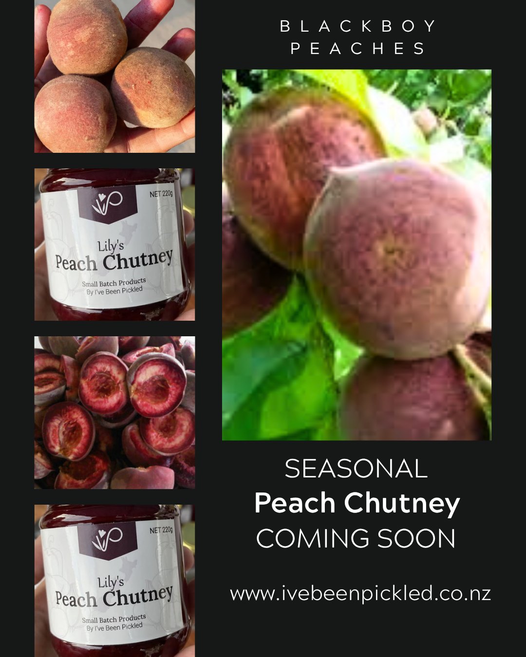 Our Black Boy Peach Chutney is nearly back, and trust us, it’s worth the wait.

Made in small batches using juicy, in-season Black Boy peaches, this chutney brings the perfect balance of sweet and spice. It’s the kind of jar that disappears quickly once opened.

Spread it on a cheeseboard, pair it with roast meats, or add it to Jus for something a little special.

But like all good things… it won’t last long. This one is strictly seasonal.

Keep an eye out @christchurchfarmersmarket and local stockists soon!

#IveBeenPickled #SeasonalFlavours #PeachChutney #NZMade #FarmersMarketFinds #SmallBatch #shoplocal
