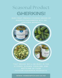 It’s gherkin season! 🥒
Our first delivery of freshly picked gherkins arrives Monday, which means the kitchen will be buzzing.
We’ll be busy turning them into your favourites:
• Bread & Butter Gherkins
• French Cornichons
• Dill Pickles
• Gherkin Relish

Fresh, crunchy, and made in small batches — just how you like them

#IveBeenPickled #Christchurchfarmersmarket  #SupportLocalNZ #CanterburyEats #gherkinseason